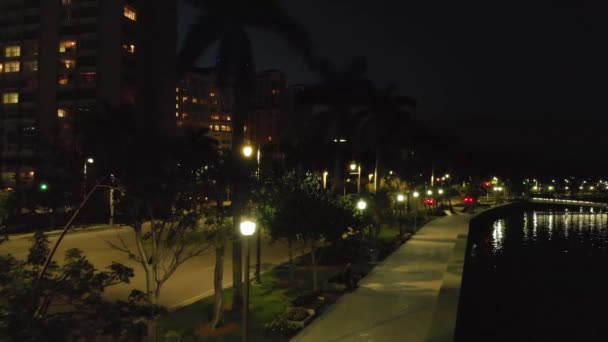 Westliche Palmenstrandpromenade Bei Nacht Blick Von Der Drohne — Stockvideo
