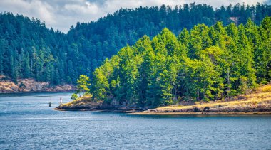 Gürcistan Boğazı, İngiliz Kolombiyası Yaz sezonunda kostüm
