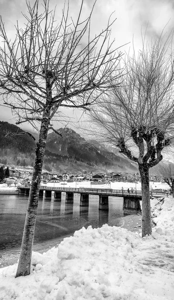 Trees Beautiful Alpin Lake Snowy Winter Morning — Stock Photo, Image