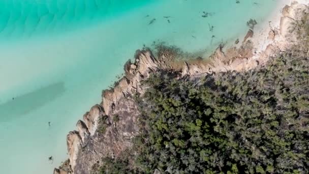 Whitehaven Beach Australia Panoramiczny Widok Lotu Ptaka Wybrzeża Pięknych Plaż — Wideo stockowe