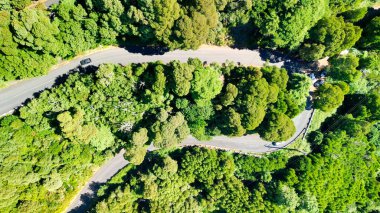 Downward aerial view of a beautful windy road across a forest.