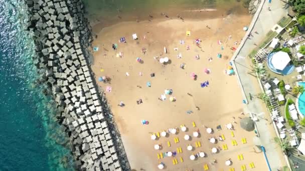 マデイラ島のカルヘタビーチの空中写真 — ストック動画
