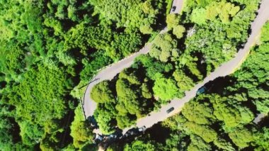 Downward aerial view of a beautful windy road across a forest.