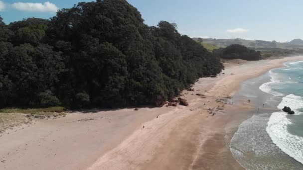 Hot Water Beach Hahei New Zealand Aerial View Beautiful Sunny — Vídeo de stock
