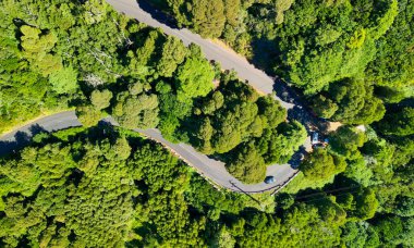 Downward aerial view of a beautful windy road across a forest.