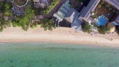 Beach, trees and mountains of Seychelles, overhead aerial view.