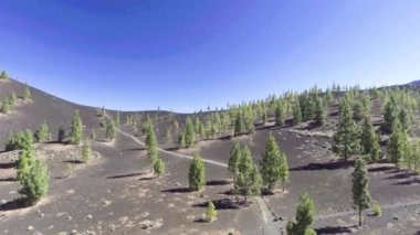 Volcanic mountains with trees in summer, aerial view.