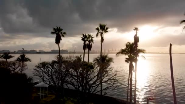 Brickell Key Palms Ocean Dawn Aerial View — Stok Video