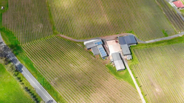South Australia Vineyards Aerial View Drone — Zdjęcie stockowe
