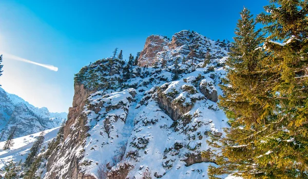 Alpin Κοιλάδα Και Δέντρα Χειμώνα Που Περιβάλλεται Από Όμορφα Βουνά — Φωτογραφία Αρχείου