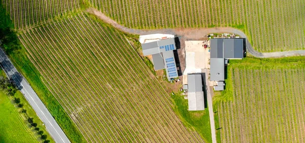 South Australia Vineyards Aerial View Drone — Foto de Stock