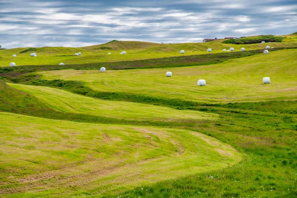 Hay Pilhas Longo Das Montanhas Islândia Temporada Verão — Fotografia de Stock