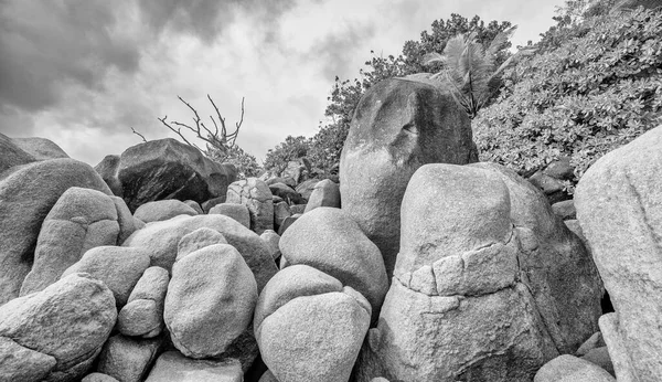 花崗岩の岩や白い砂と素晴らしい絵のような楽園のビーチ セイシェル旅行のコンセプト — ストック写真