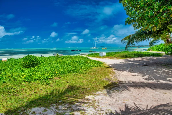 Tropical Paradise Beach Beautiful Shoreline Seychelles Islands — Stock fotografie