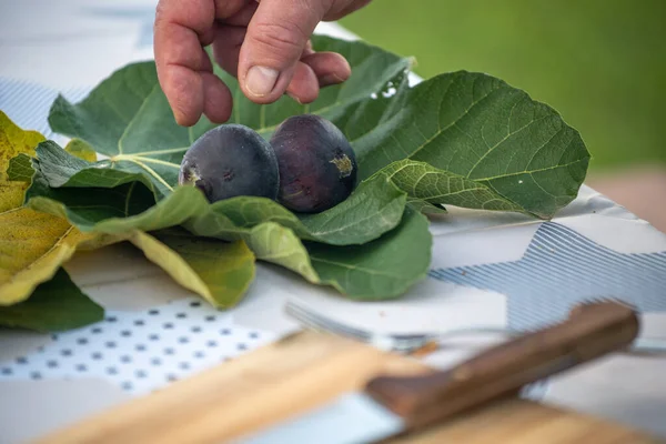 Fresh Figs Table Outdoor — Φωτογραφία Αρχείου