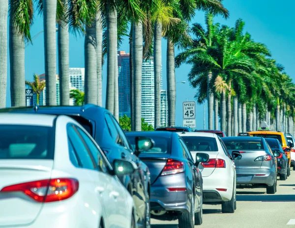 Car Traffic Miami Queue Cars Tree Lined Boulevard — Fotografia de Stock
