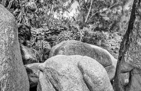 นของเซเชลส ตามเส นทางท สวยงาม — ภาพถ่ายสต็อก