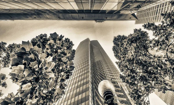 Wolkenkratzer Umgeben Von Bäumen Blick Den Himmel Geschäfts Und Unternehmenskonzept — Stockfoto