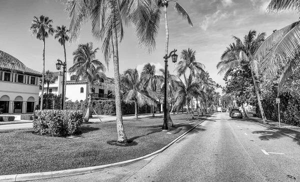 佛罗里达州棕榈滩岛上的皇家棕榈路 美丽的春日阳光灿烂的街景 — 图库照片
