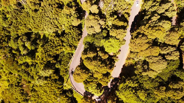 Вид Воздуха Прекрасную Ветреную Дорогу Через Лес — стоковое фото