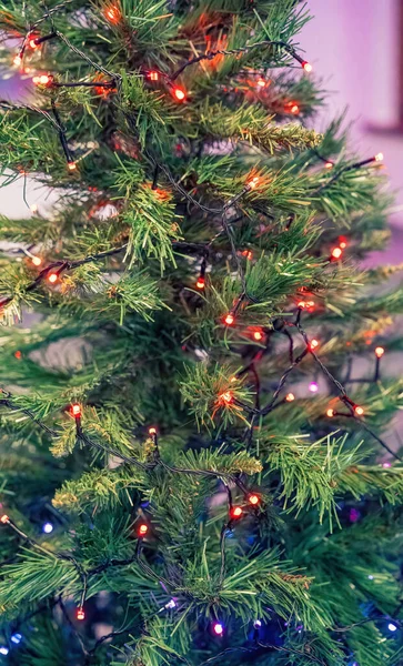 Χριστουγεννιάτικο Δέντρο Φώτα Συγχρονίζονται Ένα Σύγχρονο Σπίτι — Φωτογραφία Αρχείου