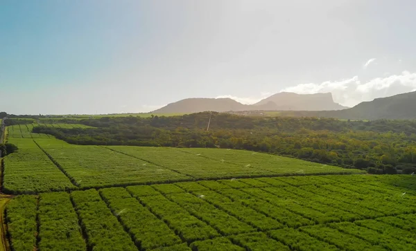 Rempart Mauritius Luchtfoto Met Omliggende Platteland — Stockfoto