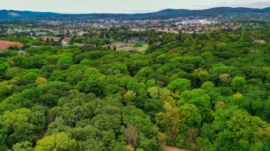 Avusturya, Viyana 'daki Gloriette binasından Schonbrunn Parkı' nın havadan görünüşü.