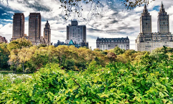 位于曼哈顿的中央公园和周围的摩天大楼在落叶季节的绚丽色彩 — 图库照片
