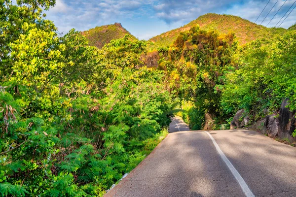 Дорога Сейшельские Острова Пересекая Остров Прекрасным Видом — стоковое фото