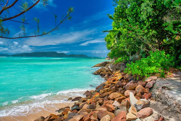 Amazing Tropical Landscape Praslin Seychelles Beach Vegetation Travel Concept — Stock Photo, Image