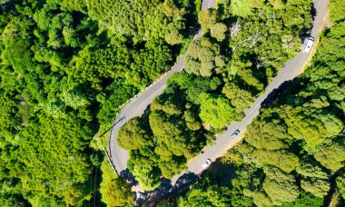 Downward aerial view of a beautful windy road across a forest.