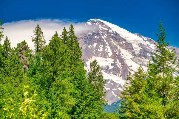 Mount Rainier Beautiful Sunny Day Washington Usa – stockfoto