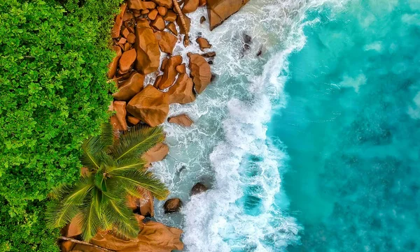 Rocas Granito Hermosas Palmeras Las Islas Seychelles Océano Índico — Foto de Stock
