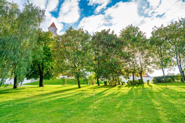 Slovakya Daki Bratislava Kalesi Parkı — Stok fotoğraf