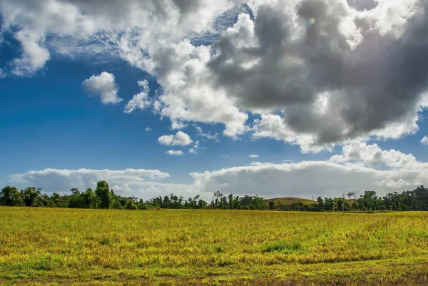 Frumoasa Zona Rurala Din Queensland Australia — Fotografie, imagine de stoc