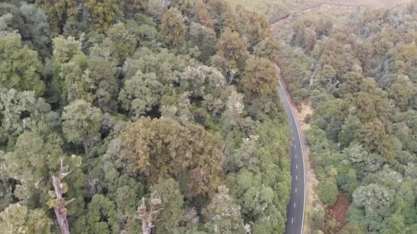 Panorama Luftaufnahme Des Rotoaira Sees Und Der Umliegenden Wälder Tongariro — Stockvideo