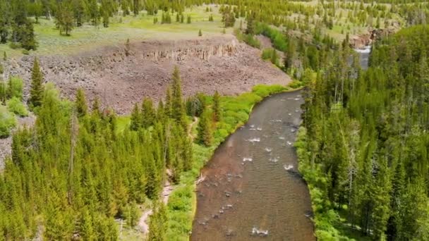 Incredibile Vista Aerea Del Fiume Yellowstone Nella Stagione Estiva — Video Stock