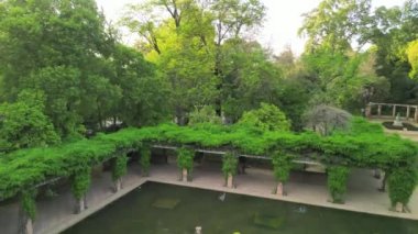 Gün batımında güzel bir şehir parkı ve gölet.