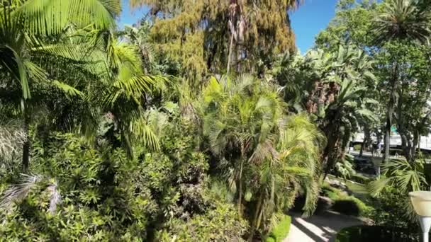 安达卢西亚马拉加市一个城市公园和树木的空中景观 — 图库视频影像