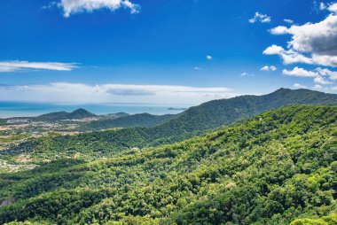 Güzel Queensland 'da Kuranda yağmur ormanları, hava manzarası.