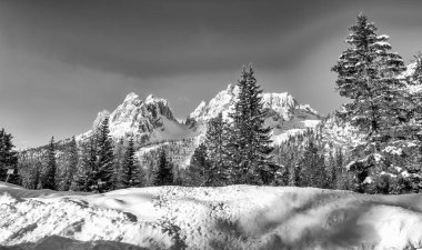 Alpin valley and trees in winter, surrounded by beautiful mountains.