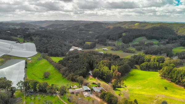 Aerial View Vineyards South Australia — Fotografia de Stock