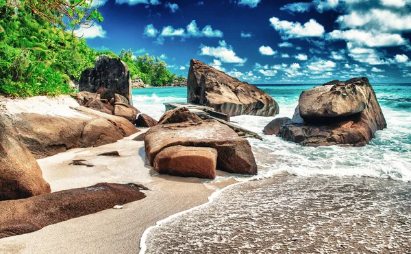 Πέτρες Και Δέντρα Στον Ωκεανό Όμορφη Ηλιόλουστη Μέρα Στις Σεϋχέλλες — Φωτογραφία Αρχείου