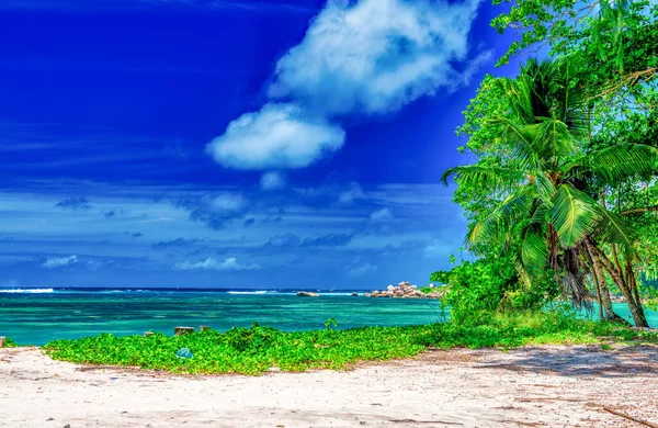 Uimitor Peisaj Tropical Din Praslin Seychelles Plajă Vegetație Concept Călătorie — Fotografie, imagine de stoc