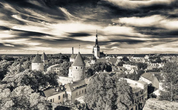 Panoramic Aerial View Tallinn City Hill Estonia — Φωτογραφία Αρχείου