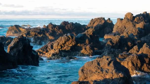 ポルトガル マデイラの日没時のポルト モニス自然溶岩プール — ストック動画