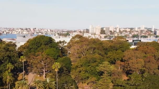 Panoramiczny Widok Góry Wybrzeża Sydney Rano Nsw Austraila — Wideo stockowe