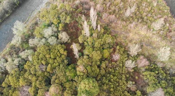 Overhead Aerial View River Valley Drone Viewpoint — Stok fotoğraf