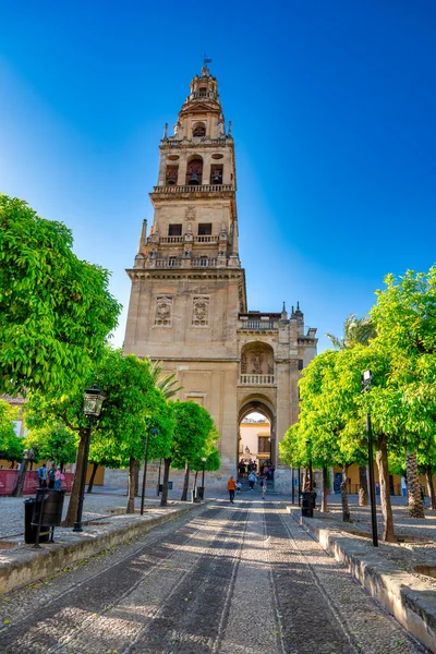 Cordoba Spanyolország Április 2023 Kilátás Mezquita Katedrálisra — Stock Fotó
