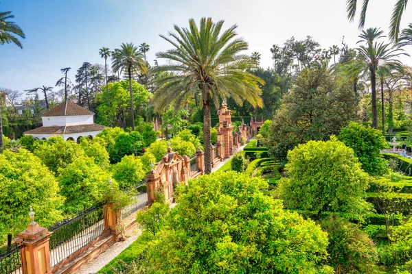 Sevilla Spanya Nisan 2023 Sevilla Bahçelerinin Gerçek Alcazar Manzarası — Stok fotoğraf